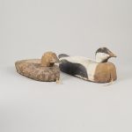 1770&nbsp;3204&nbsp;DECOY DUCKS